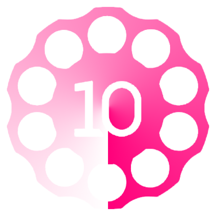 10cámaras